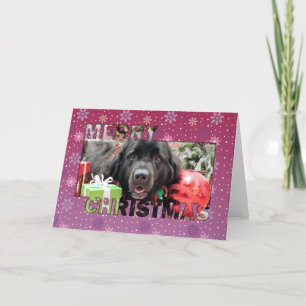 Christmas - Newfoundland - Izzie Holiday Card