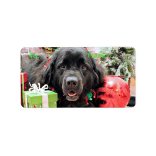 Christmas - Newfoundland - Izzie Label