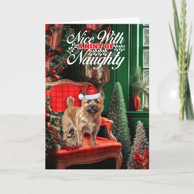 Christmas Norwich Terrier Dog Naughty or Nice Holiday Card (Front)