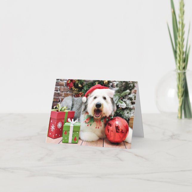 Christmas - Old English Sheepdog - Alphy Holiday Card (Front)