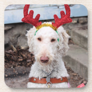 Christmas Ollie Coaster