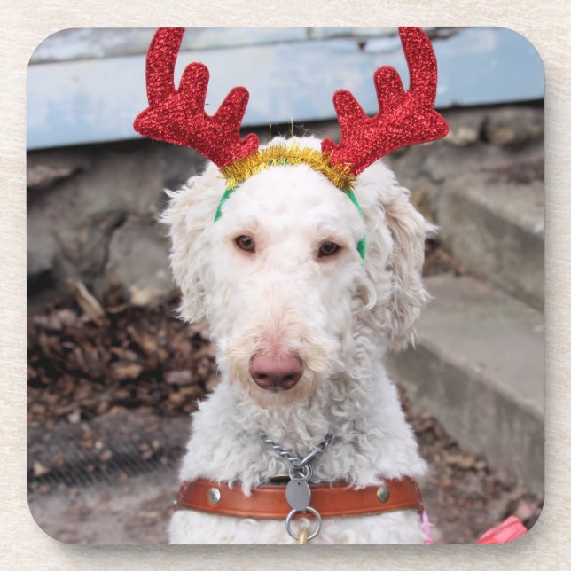 Christmas Ollie Coaster (Front)