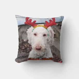 Christmas Ollie Cushion