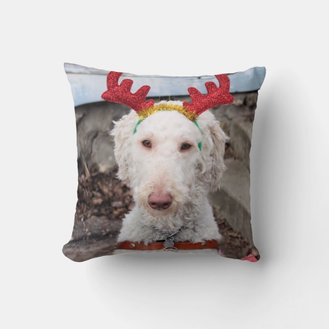 Christmas Ollie Cushion (Front)
