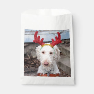 Christmas Ollie Favour Bags