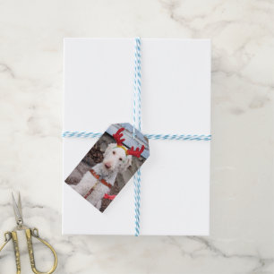 Christmas Ollie Gift Tags