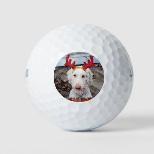 Christmas Ollie Golf Balls