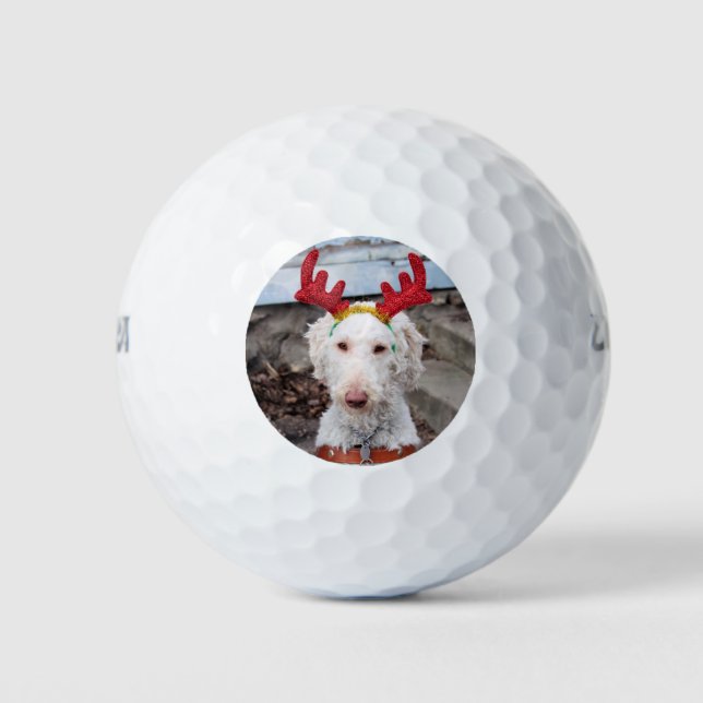 Christmas Ollie Golf Balls (Front)