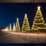 Christmas on the Beach Throw Blanket<br><div class="desc">A row of lit Christmas trees along the beach against a beautiful blue sky decorated for the Christmas season!</div>