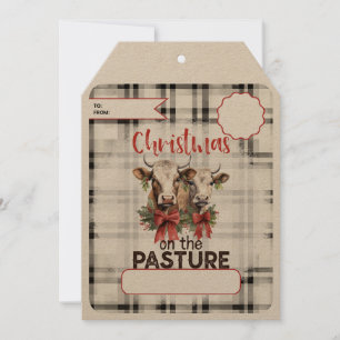 Christmas On The Pasture Money Holiday Card