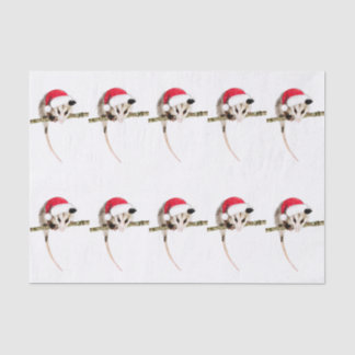 Christmas Opossum tissue paper