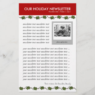 Christmas or Holiday Family Newsletter Template Stationery