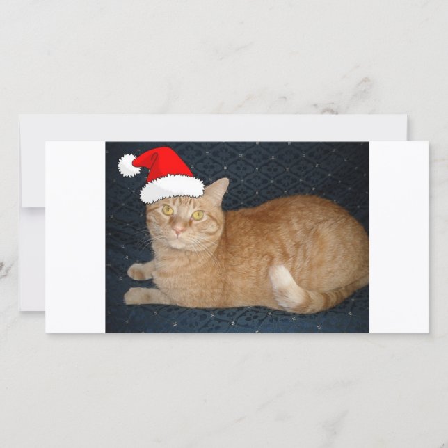 Christmas Orange Tabby Cat Holiday Card (Front)
