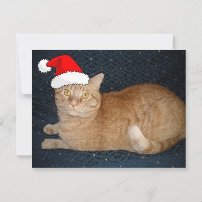 Christmas Orange Tabby Cat Holiday Card (Front)