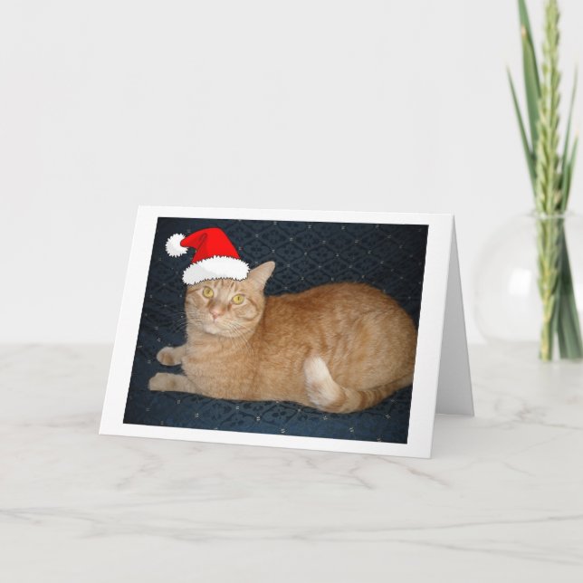 Christmas Orange Tabby Cat Holiday Card (Front)