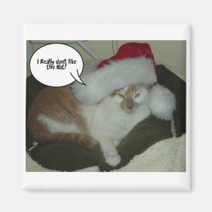 Christmas Orange Tabby Cat Humbug Magnet