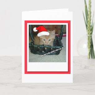 Christmas Orange Tabby Kitten Holiday Card