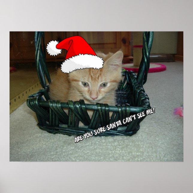 Christmas Orange Tabby Kitten Poster (Front)