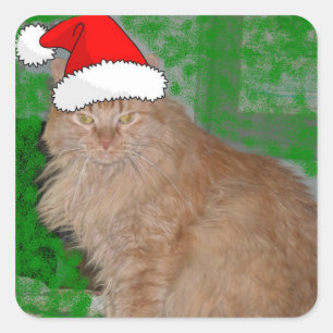 Christmas Orange Tabby Kitten Square Sticker
