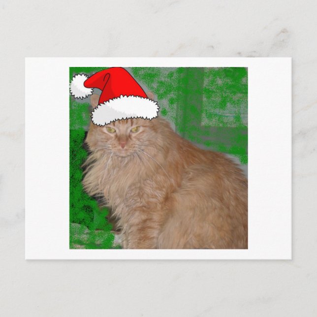Christmas Orange Tabby Kitty Cat Holiday Postcard (Front)