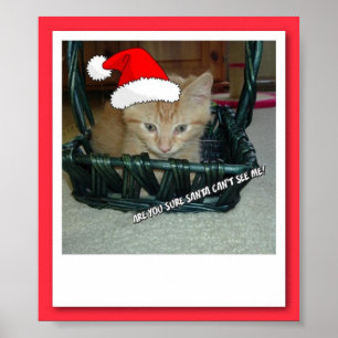 Christmas Orange Tabby Kitty Cat Poster