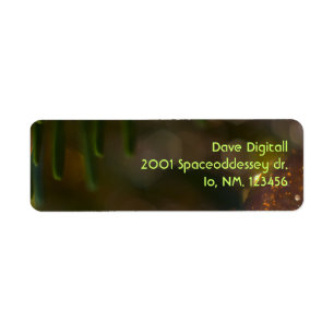 Christmas Ornament 7