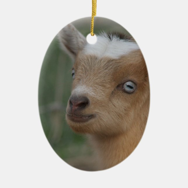 CHRISTMAS ORNAMENT BABY BLUE EYED GOAT (Front)