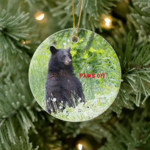 Christmas ornament featuring black bear