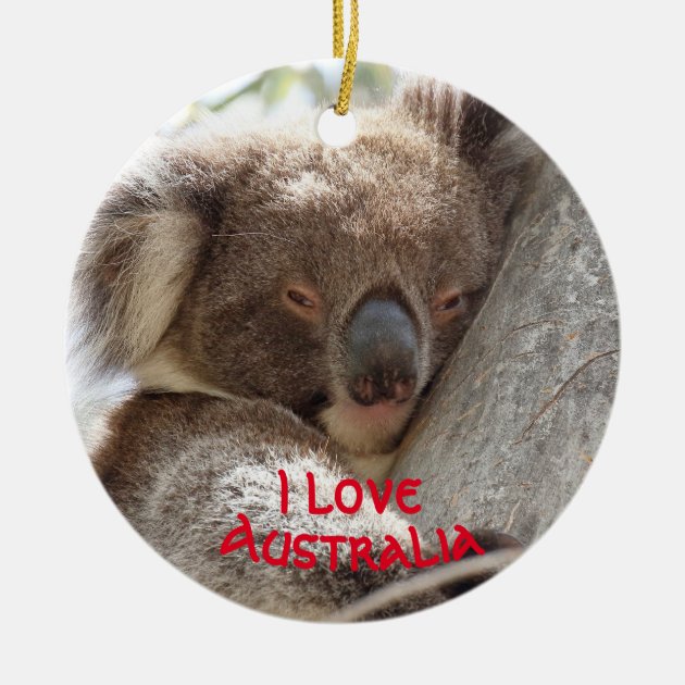 koala in christmas tree