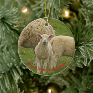 Christmas ornament featuring lamb