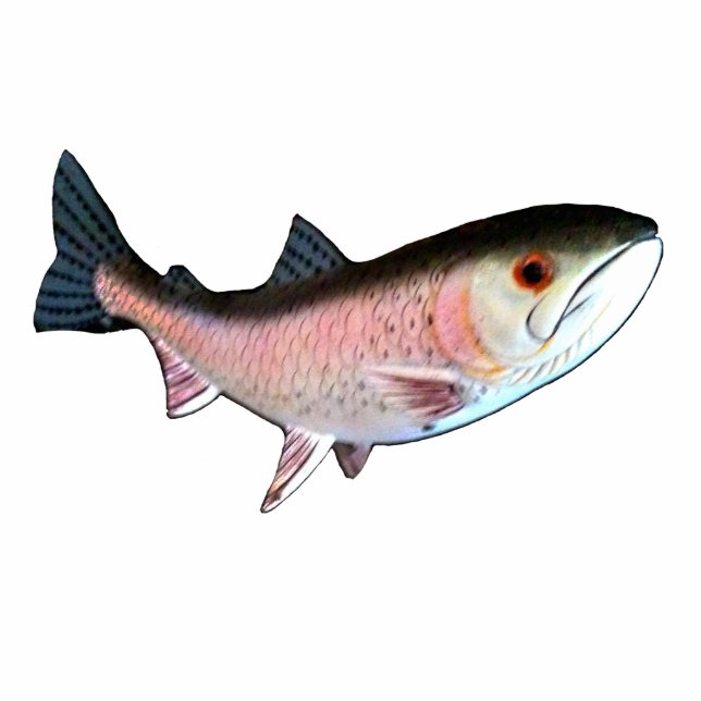 Christmas Ornament Fish Salmon Pink Photo Sculpture Decoration (Front)