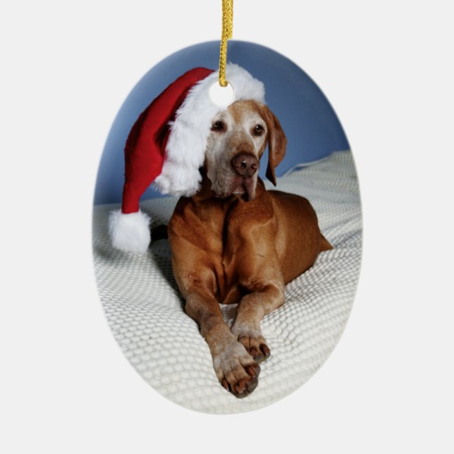 Christmas Ornament (Flynn) (Front)
