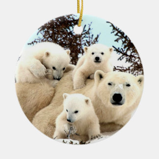 Christmas Ornament - Polar Bears