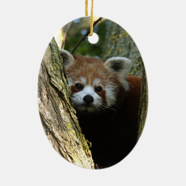 Christmas ornament - red panda (Back)