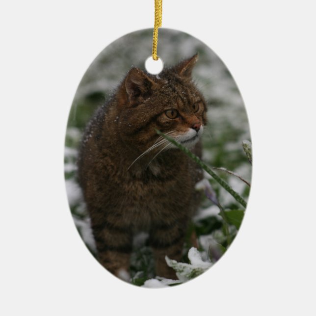 Christmas ornament - Scottish wildcat (Front)