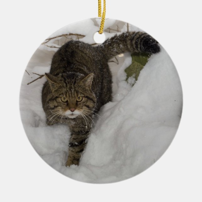Christmas ornament - Scottish wildcat (Front)