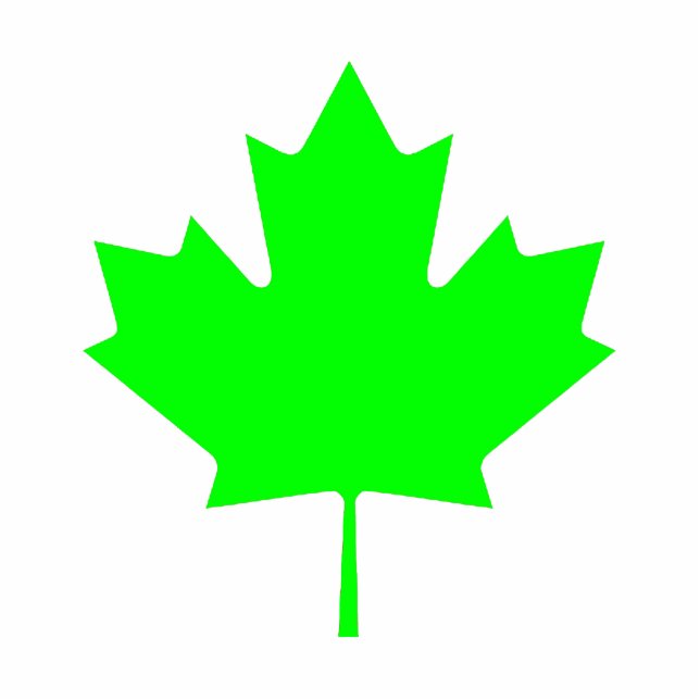 Christmas Ornaments Maple Leaf Green Light Photo Sculpture Decoration (Front)