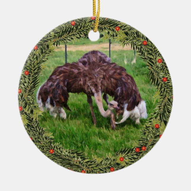 Christmas Ostrich Ready Ceramic Tree Decoration (Front)
