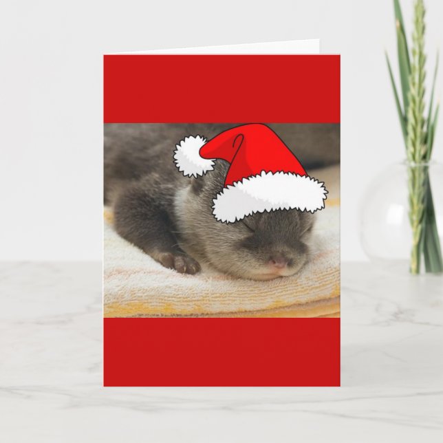 Christmas Otter Holiday Card (Front)