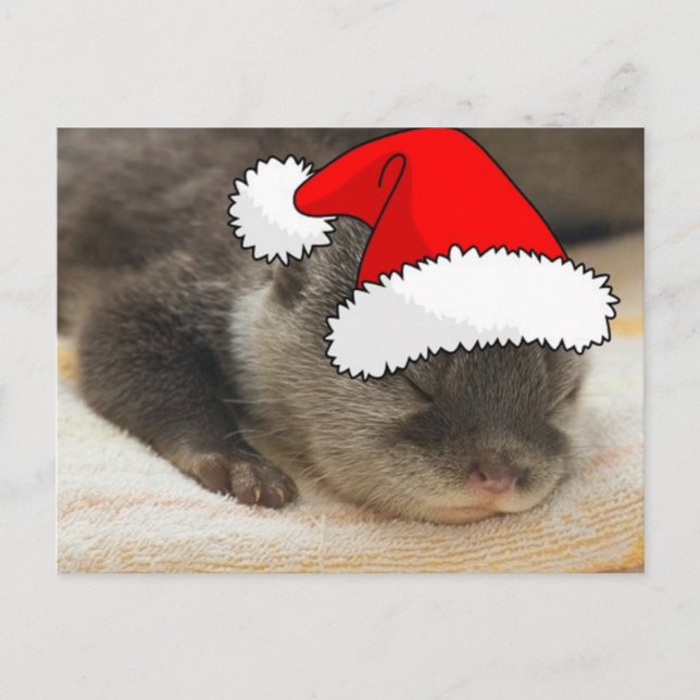 Christmas Otter Holiday Postcard (Front)