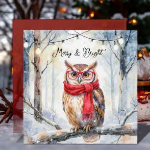 Christmas Owl Card