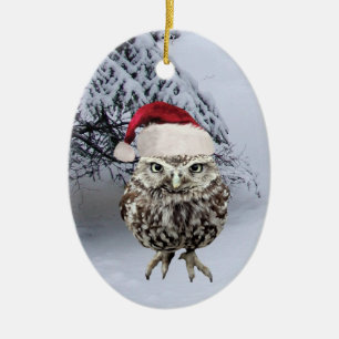 Christmas Owl with Santa Hat ornament