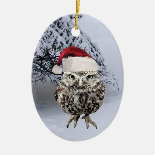 Christmas Owl with Santa Hat ornament (Front)