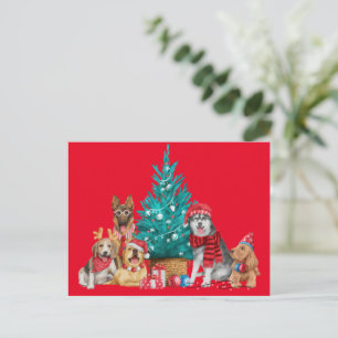 Christmas pack of dogs under the  tree postcard