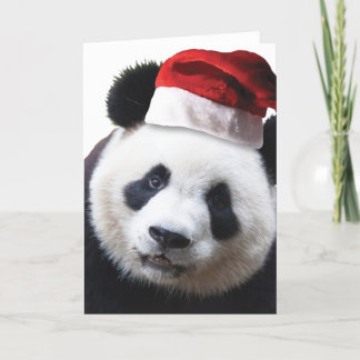 Christmas Panda Bear Holiday Card