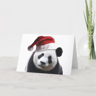 Christmas Panda Bear Holiday Card