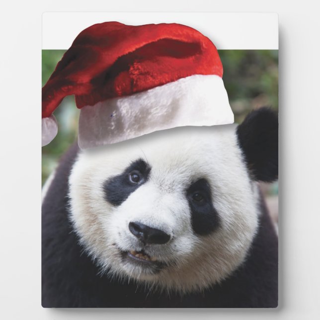 Christmas Panda Bear Plaque (Front)