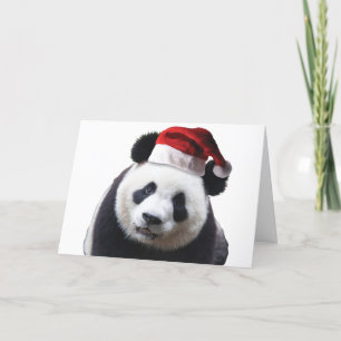 Christmas Panda with Santa Hat Holiday Card