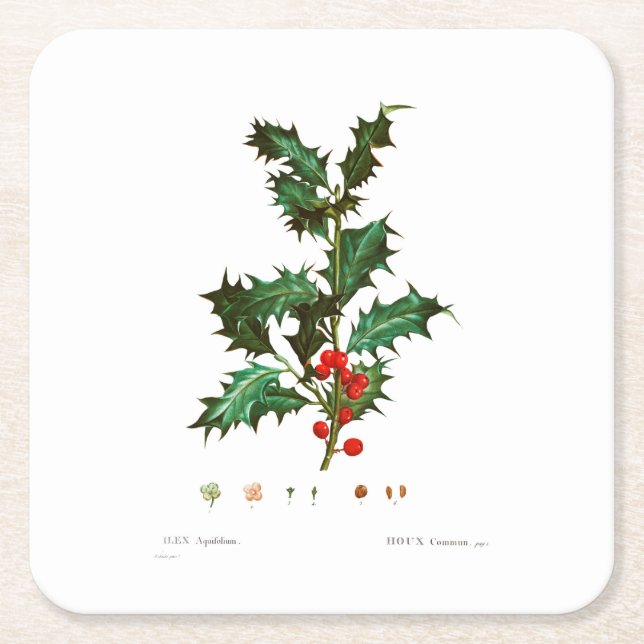 CHRISTMAS PAPER COASTER : HOLLY  : REDOUTÉ (Front)