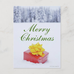 Christmas parcel in snowy landscape holiday postcard